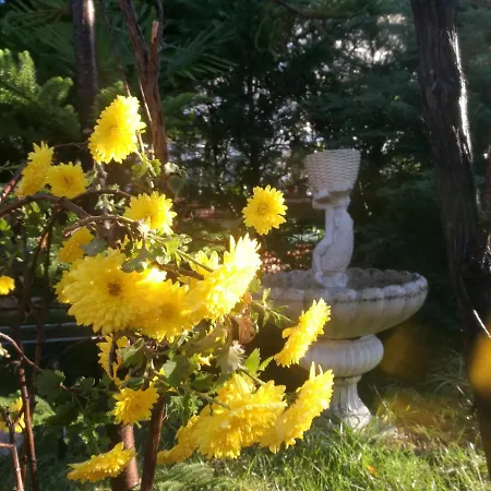 Villa Erti
