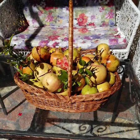 Вилла Erti *